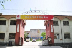 北京市平谷区东安仙居老年公寓（峪口镇养老照料中心）