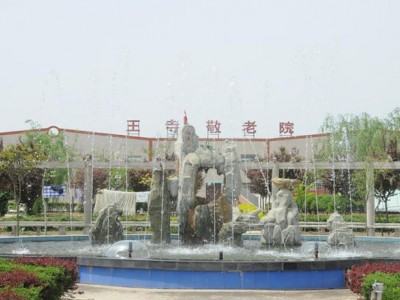 陕西西咸新区沣东新城王寺敬老院