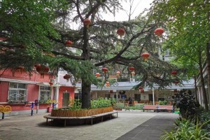 北京市朝阳区首开寸草养老照料中心