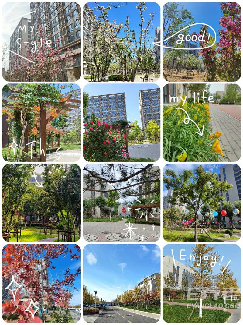 微信图片_20240526161218.jpg