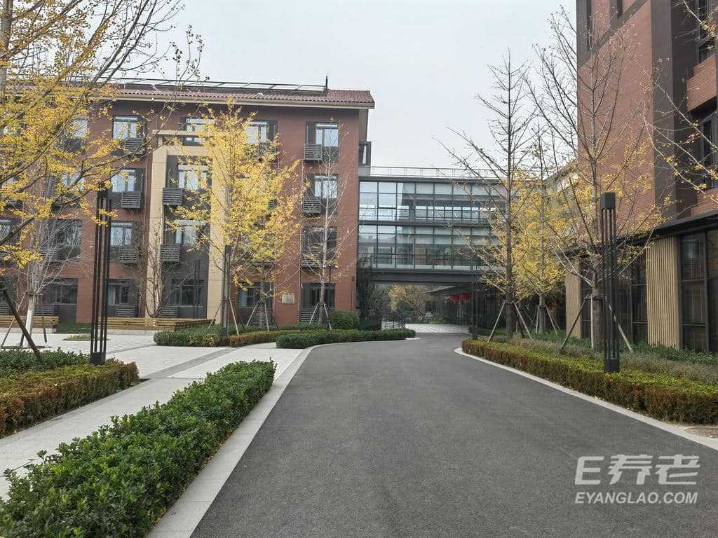 jpg IMG_20241031_150942.jpg