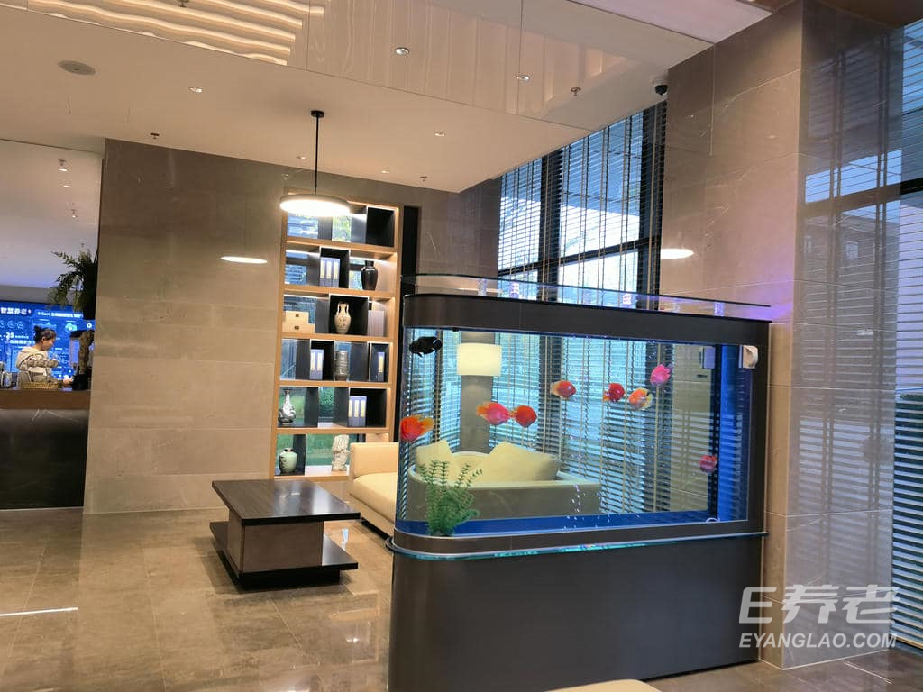 jpg PIC_20241031_145812495.jpg