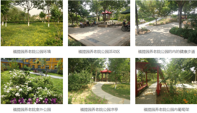 福提4.jpg