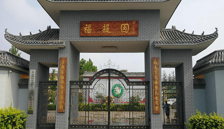 福提1.jpg
