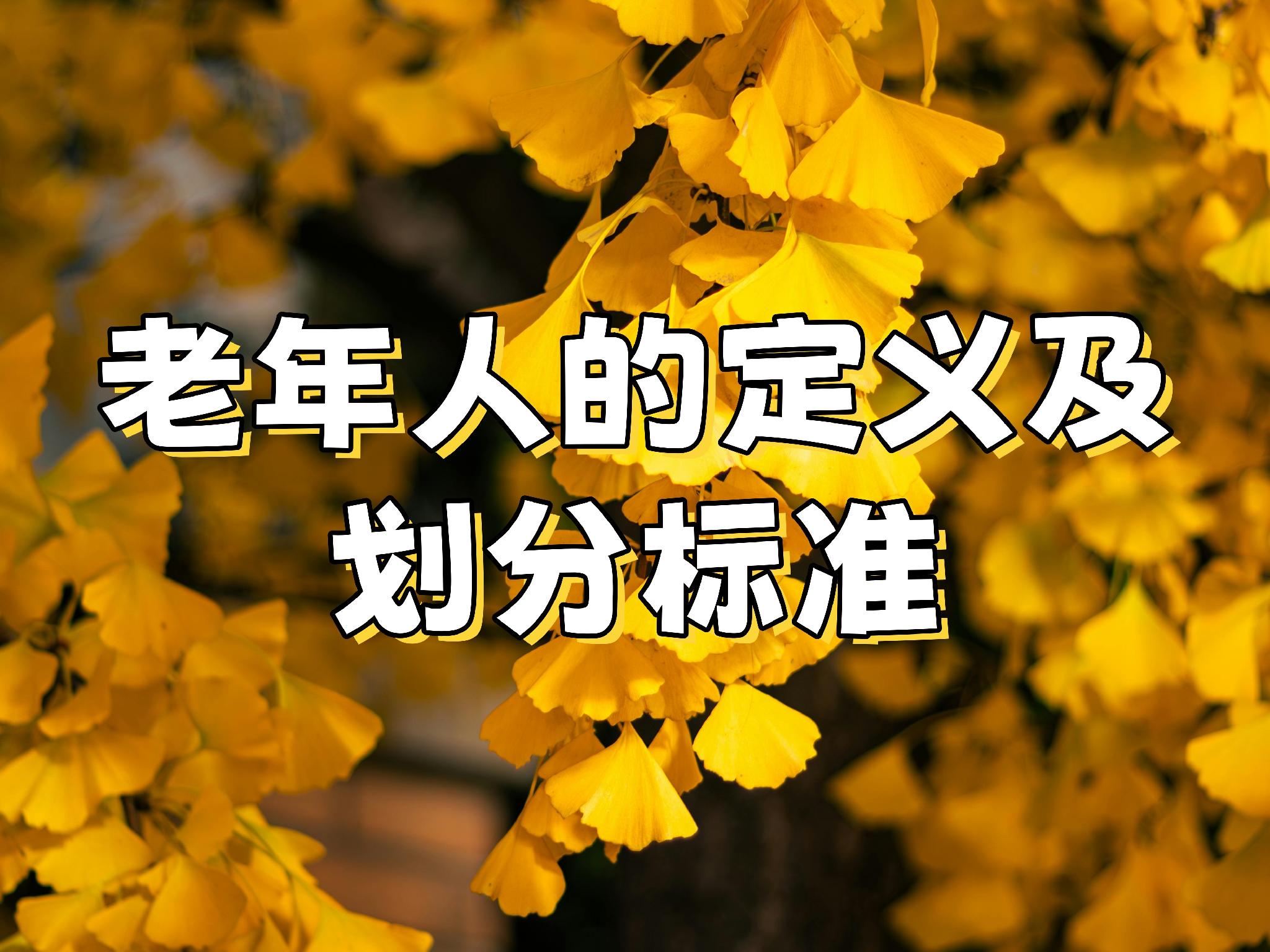 银杏叶_副本.jpg