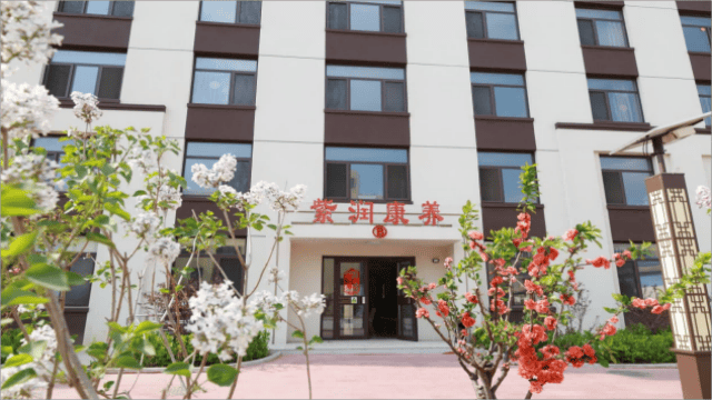 图片1(1)(1)(1)(1)1732525855430_v1_.png