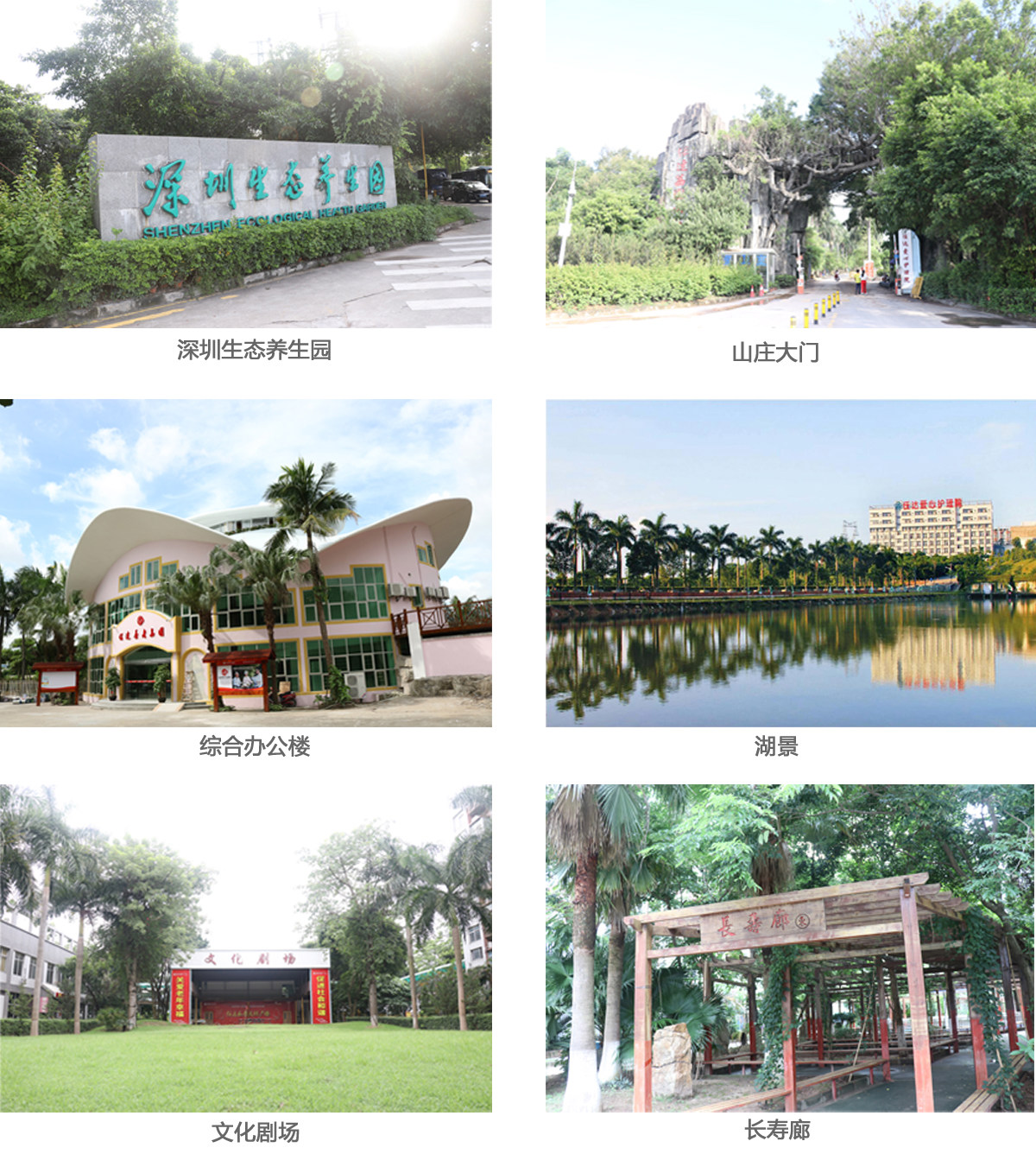 深圳市宝安区任达爱心护理院2.jpg