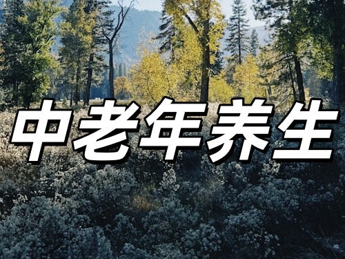 jpg photo-1762022403007-71bb1e3a4fbe.jpg