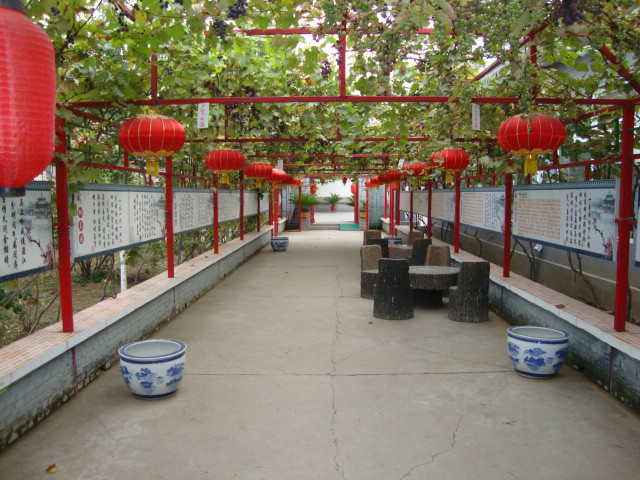 北京市海淀区纳兰园老年公寓.jpg