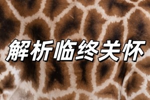 临终关怀是什么意思？临终关怀究竟在关怀什么？