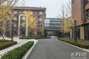 通州万科随园养老院详细地址、电话及收费标准2026