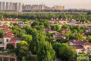 荣华齐山养老社区地址及详细介绍2026
