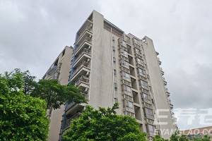 月费 4400 元起，深圳龙岗南联颐养中心怎么样？温馨如家的园林式养老全解析
