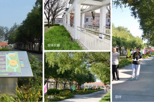 大兴区庞各庄镇社区社会福利中心介绍2026
