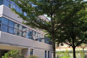 广州番禺贵达有爱养老护理院｜3200元起，大夫山旁园林护理院