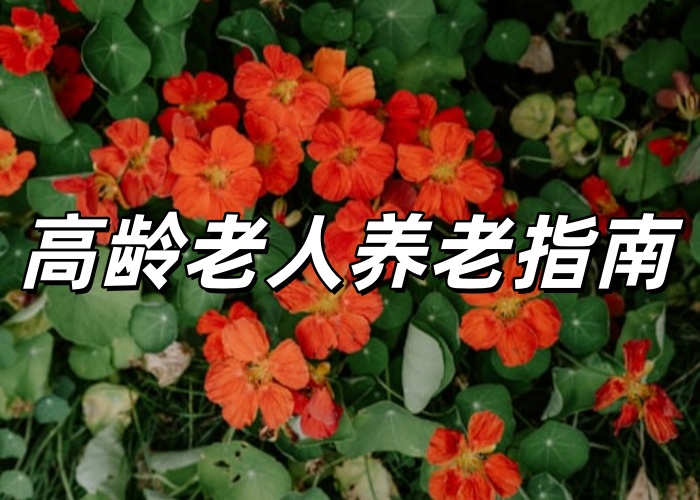 jpg premium_photo-1787728001824-54cd71b60cc0.jpg