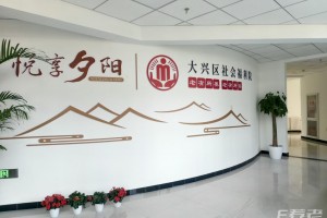 北京公立社会福利院机构介绍，设施与服务一览